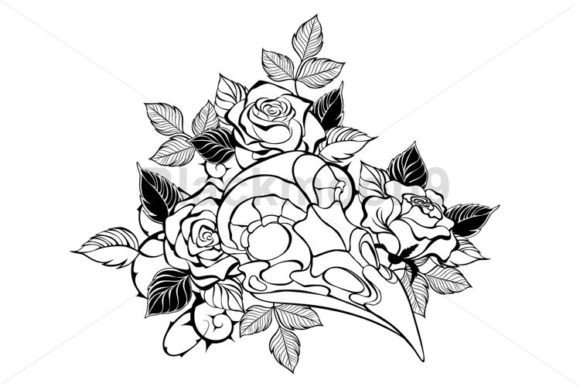 Bird Skull with Roses Graphics