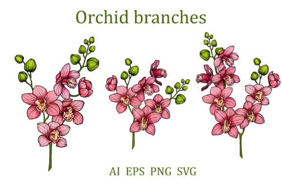 Branches of Orchids Flowers Graphics