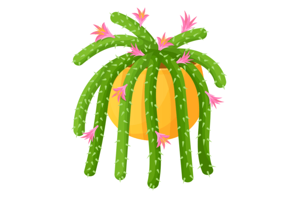 Green Succulent with Pink Flowers