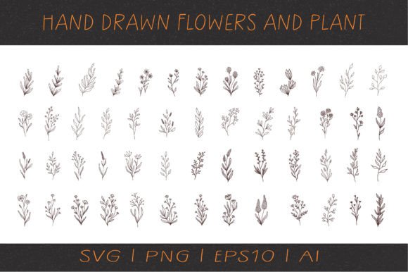 Hand Drawn Flowers and Plant Graphics for Editorial Design