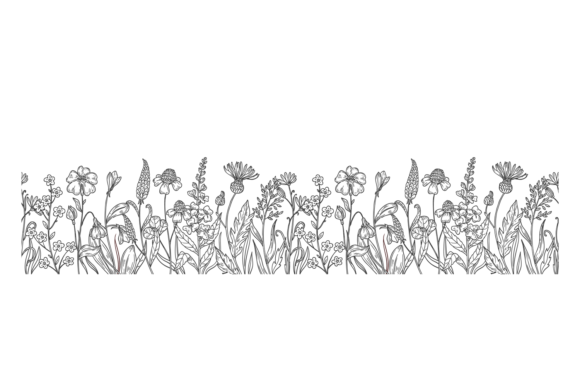 Hand Drawn Meadow Flowers Border for Graphic Design