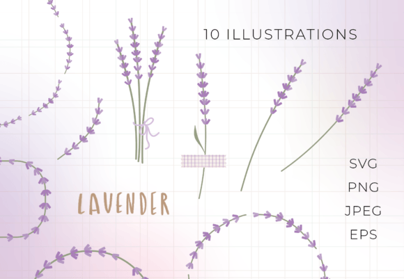 Lavender Flowers Graphics for Polished Content