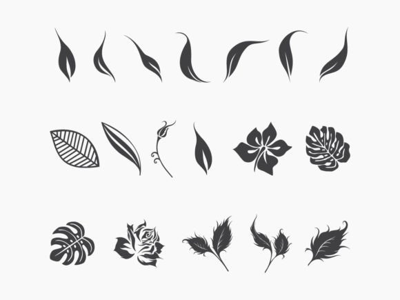 Leaves and Flowers Graphics for Modern Editorial Design