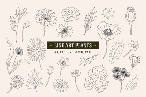 Line Art Plants Flowers Graphics for Branding and Marketing