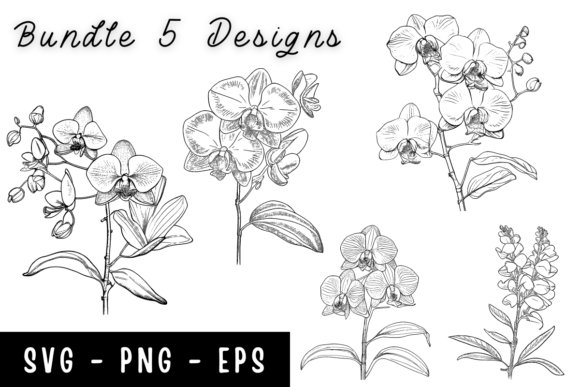 Orchid Flower Svg for Modern Branding