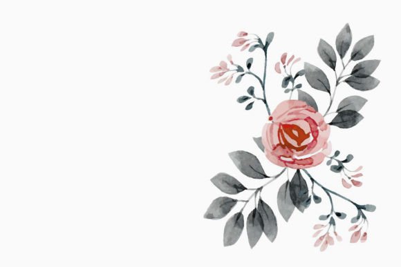 Peach Watercolor Set of 4 Roses Graphics