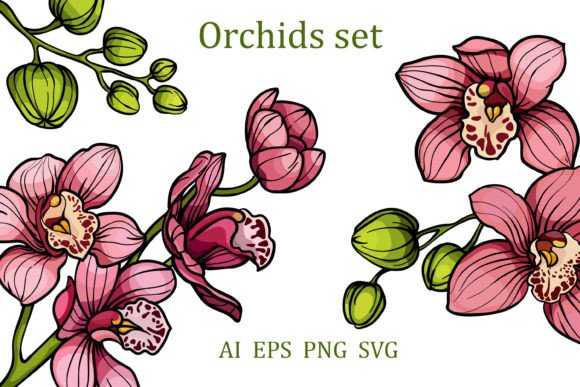 Pink Orchid Flowers Graphics for Crafters