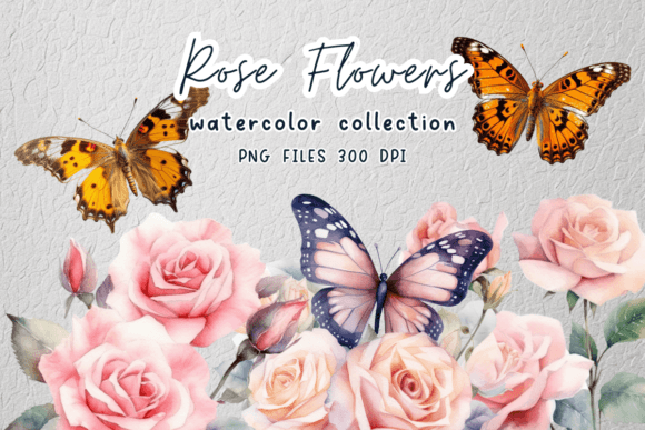 Rose Flowers Watercolor Clipart Graphics
