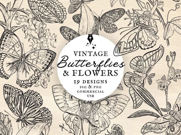 Vintage Butterflies Flowers Graphics