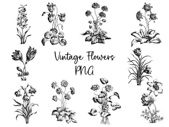 Vintage Flowers Graphics for Freebies